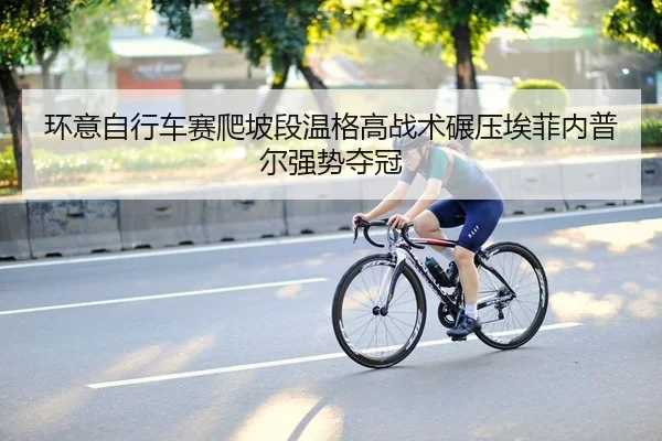 huan-yi-zi-xing-che-sai-pa-po-duan-wen-ge-gao-zhan-shu-nian-ya-ai-fei-nei-pu-er-qiang-shi-duo-guan-2-808.jpg