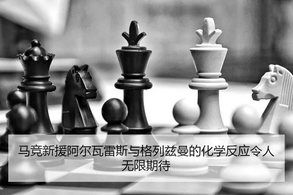 ma-jing-xin-yuan-a-er-wa-lei-si-yu-ge-lie-zi-man-de-hua-xue-fan-ying-ling-ren-wu-xian-qi-dai-2-684.jpg